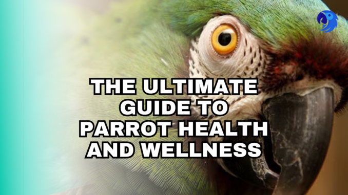 The Ultimate Guide to Parrot Health and Wellness: Everything You Need to Know