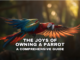 The Joys of Owning a Parrot: A Comprehensive Guide