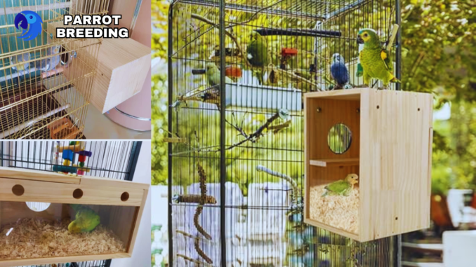 The Art of Parrot Breeding: A Comprehensive Guide to Success, parrotslve.com